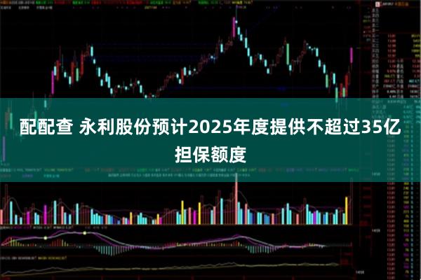 配配查 永利股份预计2025年度提供不超过35亿担保额度